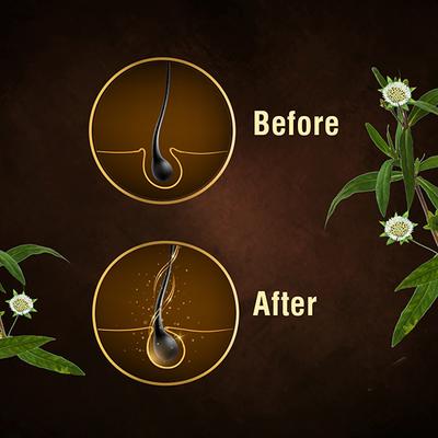 Indulekha Bringha Hair Strengthening Serum 30 ml - Hair Serums