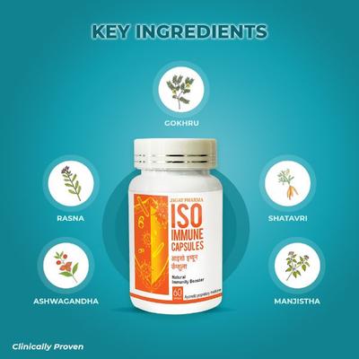 Jagat Pharma ISO Immune Capsule (Pack of 2 x 60's) - Health Products