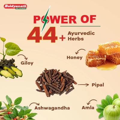 Baidyanath Chyawanprash Awleh 500 g + 75 g Extra - Chyawanprash