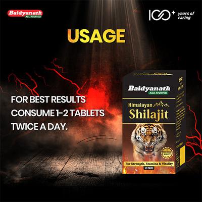 Baidyanath Himalayan Shilajit Tablet 50's - Sexual Healthcare