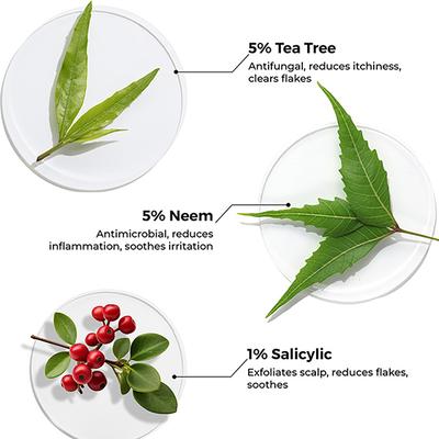 Brillare Tea Tree and Salicylic Oil Shots for Itchy, Flaky, Dandruff Prone Scalp 48ml - Hair Oils