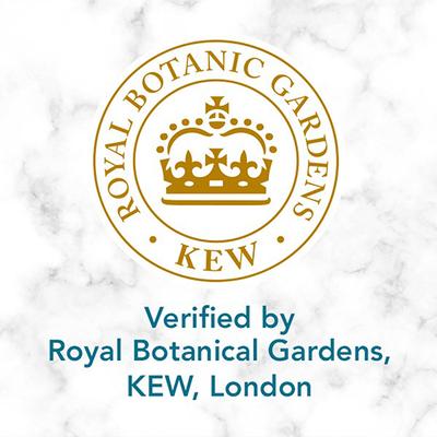 Herbal Essences Argan Oil Of Morocco Repair Real Botanicals Shampoo 240 ml - Shampoos