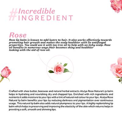 Atulya Rose Lipbalm 5 gm - Lip Glosses