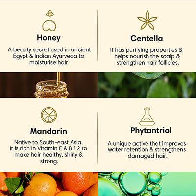 The Earth Collective Hair Cleanser - Dry and Damaged 200 ml - Shampoos