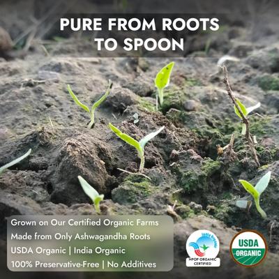 Nutriorg Organic Ashwagandha Powder 150 g - Ashwagandha