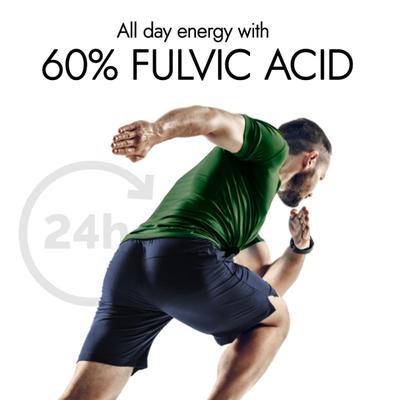 Kapiva Activ Foods Shilajit Energy Gummies - Ginger Honey 30's - Speciality Medicines