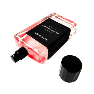 Albatross Perfume She Came She Stayed 100 ml - Perfumes (Edt/Edp)