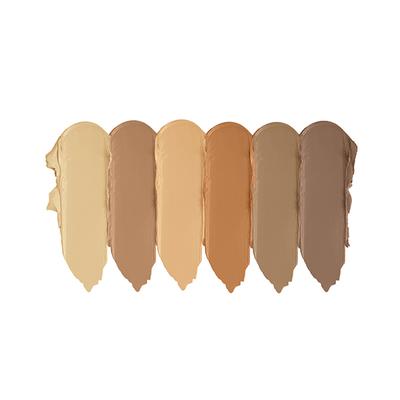 Star's Cosmetics Derma Series Colour Pallate Matte Finish, Waterproof Face Makeup 24 gm - Foundation