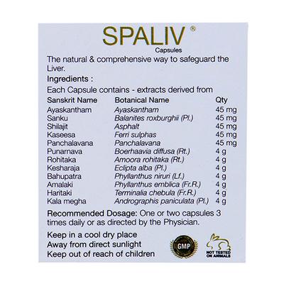 Kairali Spaliv Capsules 60's - Speciality Medicines