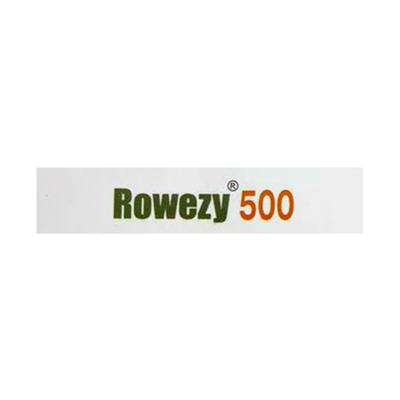 ROWEZY 500 Tablet 5's - Bacterial Infections-Mac