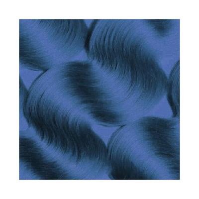 Paradyes Denim Blue Temporary One Wash Hair Color 45 gm - Crème