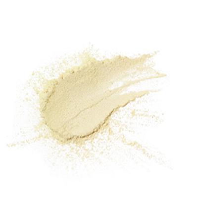 PAC Translucent Powder 10 10 gm - Loose Powder