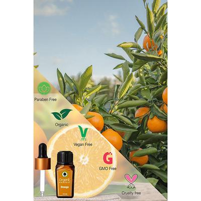 Organic Harvest Essential Oil - Orange 10 ml - Essential Oils