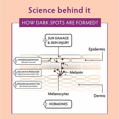 LISEN Rising Charm Brightening Serum with 3 - Steps Brightwning Complex for Skin Illumination 30 ml - Face Serum