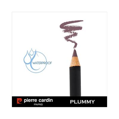 Pierre Cardin ParisLipliner Pencil Waterproof 395 Plummy 0.4 gm - Lip Liners