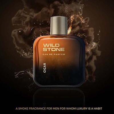 Wild Stone Cigar Eau De Parfum for Men 100 ml - Men Perfumes (Edt/Edp)