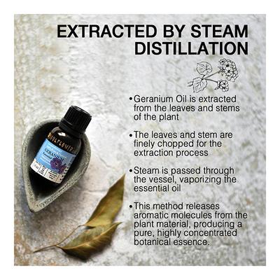 Soulflower Essential Oil - Geranium 15 ml (N) - Essential Oils