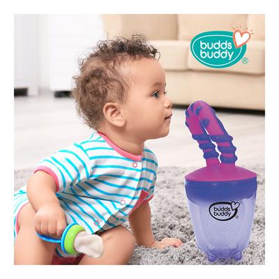Buddsbuddy Elite Fruit and Food Nibbler - Purple - Feeding & Nursing