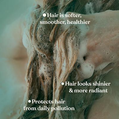 THE BODY SHOP SHAMPOO MORINGA A0X 250 ml - Shampoos