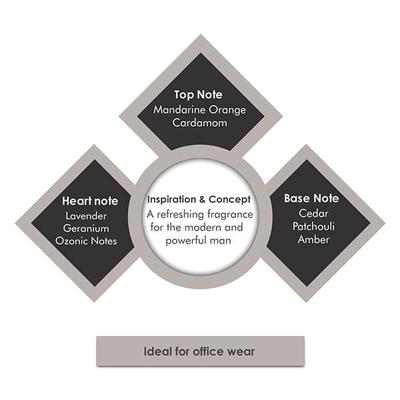 Porsche Design Palladium Eau de Toilette 100 ml - Perfumes (Edt/Edp)