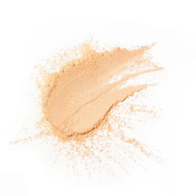 PAC Translucent Powder 07 10 gm - Loose Powder