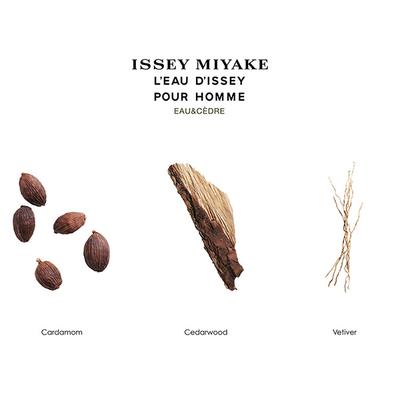 Issey Miyake L'Eau D'Issey Pour Homme Eau&Cedre Edt Intense 100 ml - Men Perfumes (Edt/Edp)