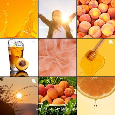 Blur India Unisex Perfume - Peach Sorbet, Fruity & Summer Fresh Eau De, Long Lasting Eau De Parfum 30 ml - Perfumes (Edt/Edp)