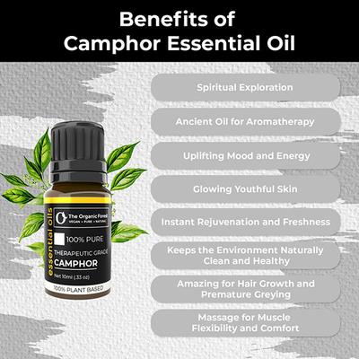 Organic Forest 100% VEGAN Camphor Essential Oil 10 ml - Essential Oils