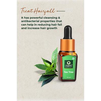 Organic Harvest Essential Oil - Tea Tree 10 ml - Essential Oils