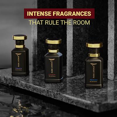 Park Avenue Eau De Perfum - Conquer 100 ml - Men Deodorants/Roll-Ons