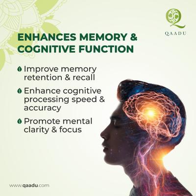 Qaadu Extract Based Mempro 500mg Capsule 60's - Speciality Medicines