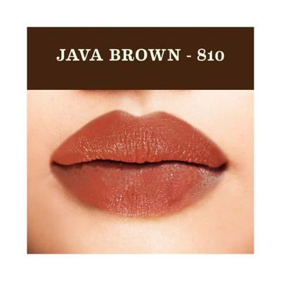 Soul Tree Ayurvedic Lipcare Colour Rich 810 with Organic Sweet Almond Oil, Essence Of Rose 4gm - Lipsticks
