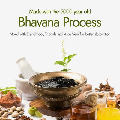 Kapiva Activ Foods Shilajit Energy Capsules 20's - Speciality Medicines