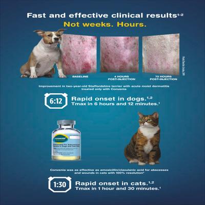 CONVENIA (VET) Injection 10ml - Veterinary-Pharma