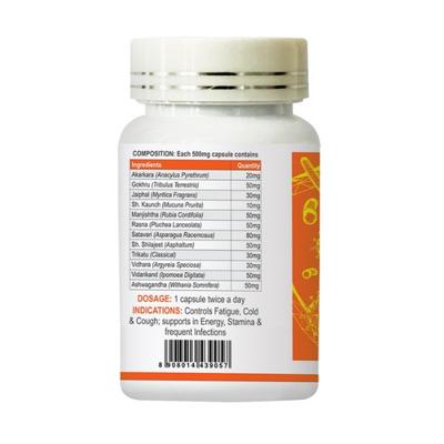 Jagat Pharma ISO Immune Capsule (Pack of 2 x 60's) - Health Products