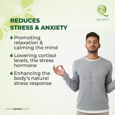 Qaadu Extract Based Mempro 500mg Capsule 60's - Speciality Medicines