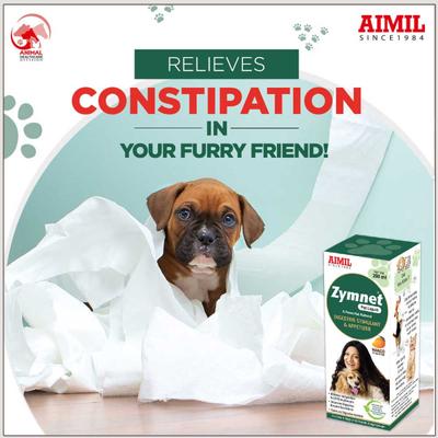 Zymnet PET Liquid 200 ml - Pet Healthcare