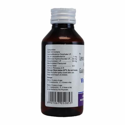 VISCODYNE LS Expectorant 100ml - Asthma/COPD-Ast