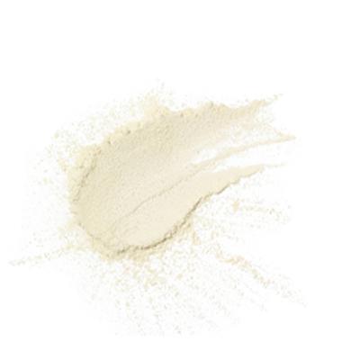 PAC Translucent Powder 11 10 gm - Loose Powder