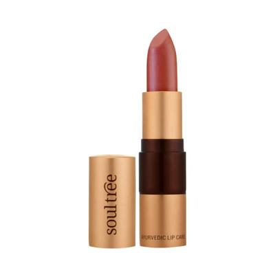 SoulTree Lipstick Coral Pink 904 4 gm - Lipsticks