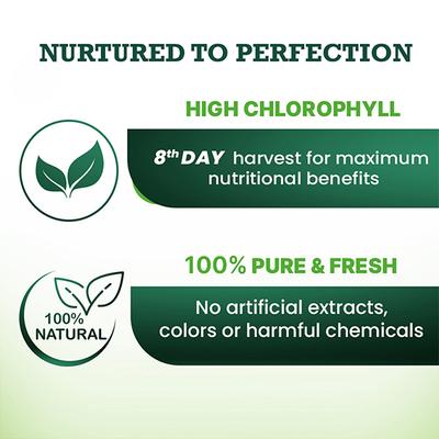 Vansaar Wheat Grass Juice 500 ml - Ayurvedic Juices