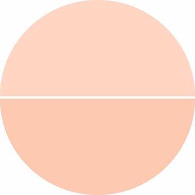 Matt Look Cc Conceal N Cover Oil - Free SPF - 15, Fair 47.5 gm - Foundation