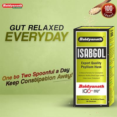 Baidyanath Isabgol Psyllium Husk Powder 100 g - Digestive Care