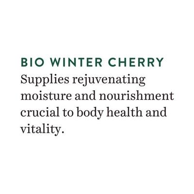 Biotique Winter Cherry Rejuvenating Body Nourisher 190 ml - Lotions & Creams