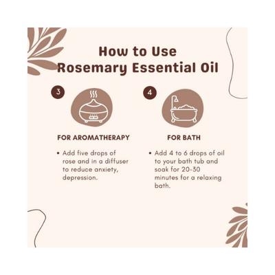 Essentia Extracts Rosemary Essential Oil 15 ml - Essential Oils