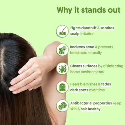 Aravi Organic Tea Tree Essential Oil 100% Pure Oil 15 ml - Essential Oils