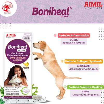 AIMIL Boniheal PET Liquid 200 ml - Pet Healthcare