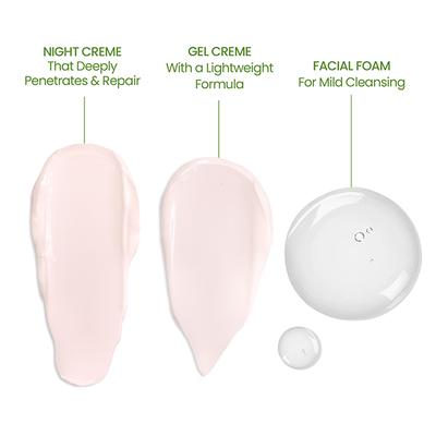 Lotus Herbals Whiteglow Day And Night Pack with Face Wash Day Cream Night Cream Facewash 220 g - Face Creams