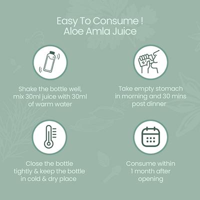 Krishna's Herbal & Ayurveda Aloe+Amla Juice 1000 ml - Ayurvedic Juices