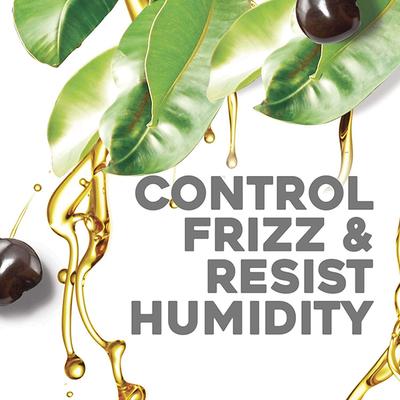 OGX Hydrate and Defrizz + Kukui Oil Conditioner, Paraben-Free, Sulfate-Free Surfactants 385 ml - Conditioners